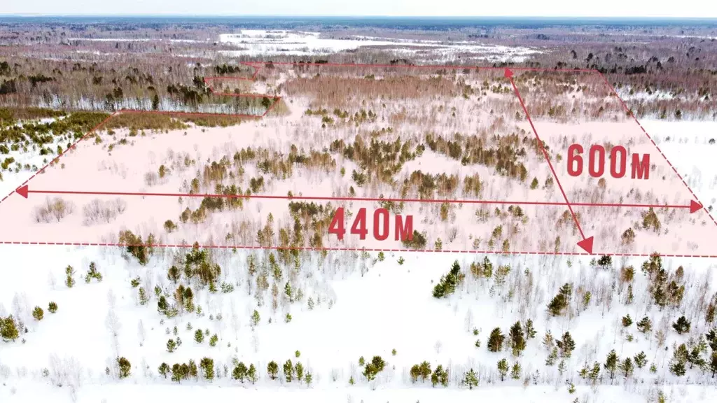 Участок в Томская область, Томский район, Зоркальцевское с/пос, д. ... - Фото 2