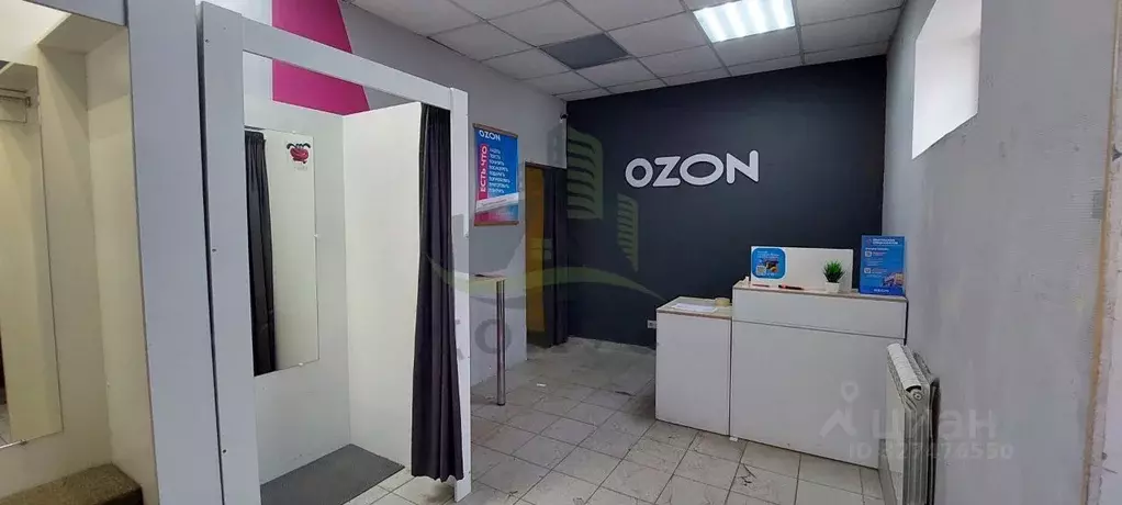 Торговая площадь в Московская область, Раменский муниципальный округ, ... - Фото 2