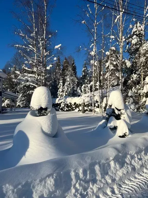 Дом в Ярославская область, Переславль-Залесский муниципальный округ, ... - Фото 2