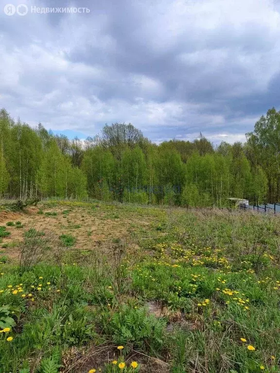Участок в деревня Шумилово, улица Видное (20 м) - Фото 0