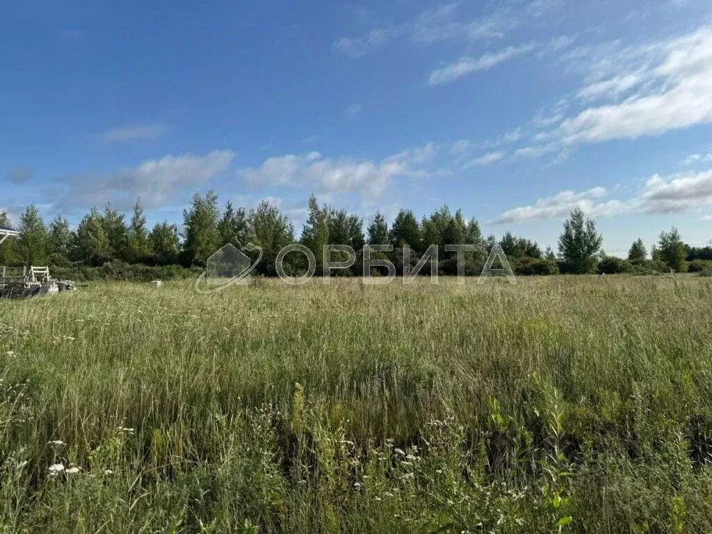 Участок в Тюменская область, Тюменский район, с. Чикча  (8.0 сот.) - Фото 1