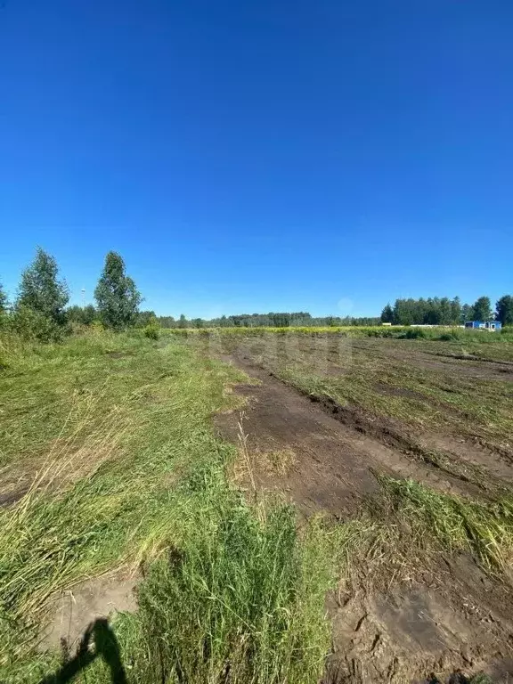 Участок в Новосибирская область, Искитимский район, с. Морозово ул. ... - Фото 1