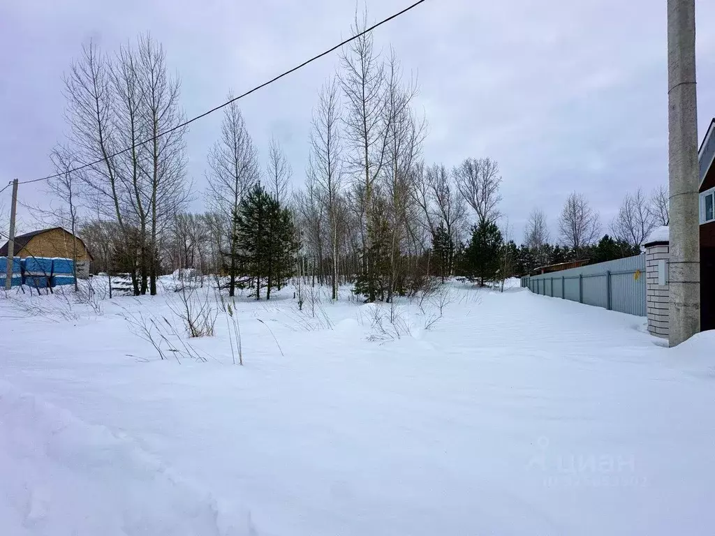 Участок в Алтайский край, Первомайский район, с. Санниково ул. ... - Фото 2