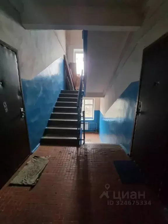 1-к кв. Московская область, Подольск Климовск мкр, просп. 50 лет ... - Фото 2