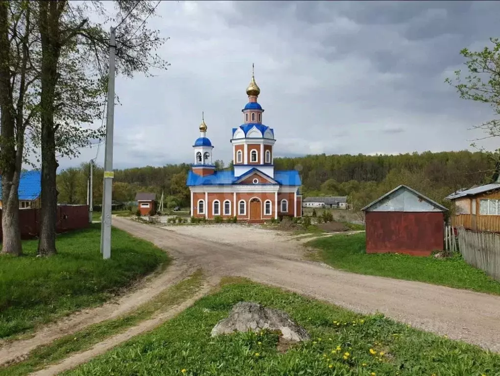 Участок в Калужская область, Тарусский муниципальный округ, Лопатино ... - Фото 2