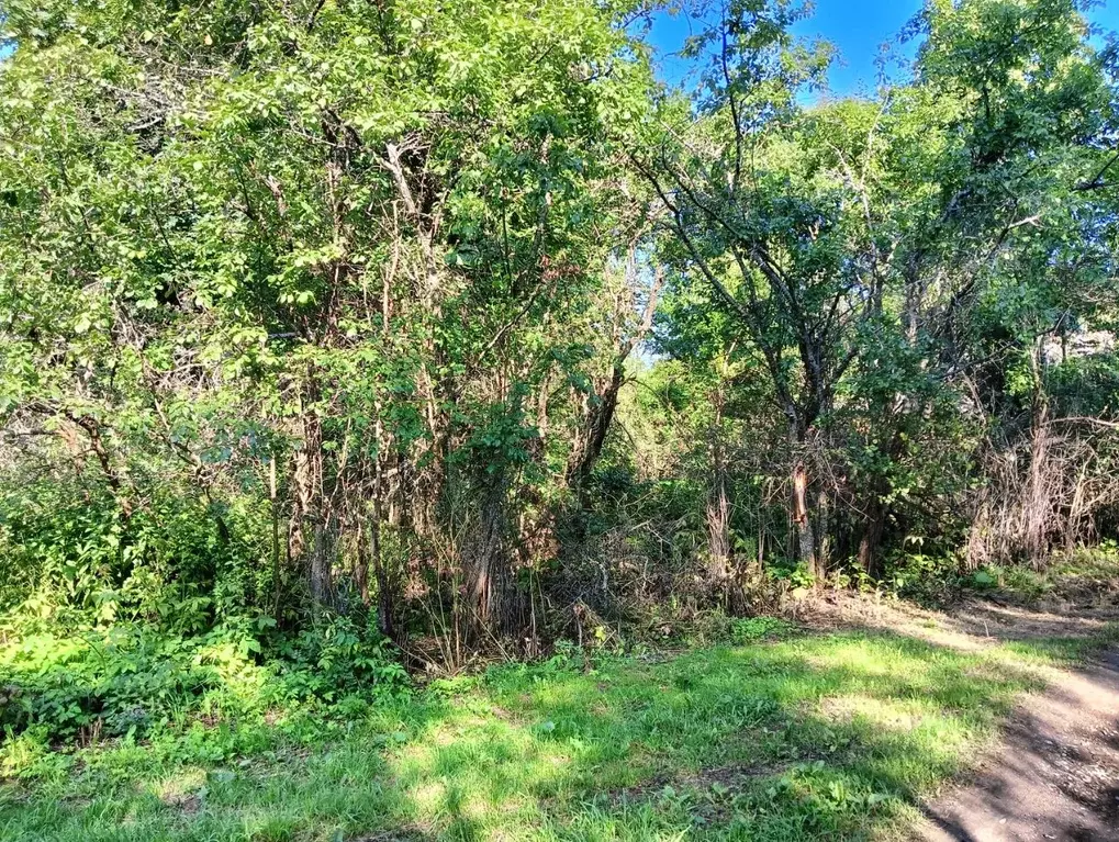 Участок в Московская область, Клин городской округ, д. Сметанино  ... - Фото 1