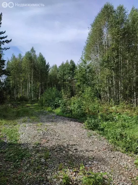 Участок в Таштагол, улица Сергея Дюкарева (15 м) - Фото 1