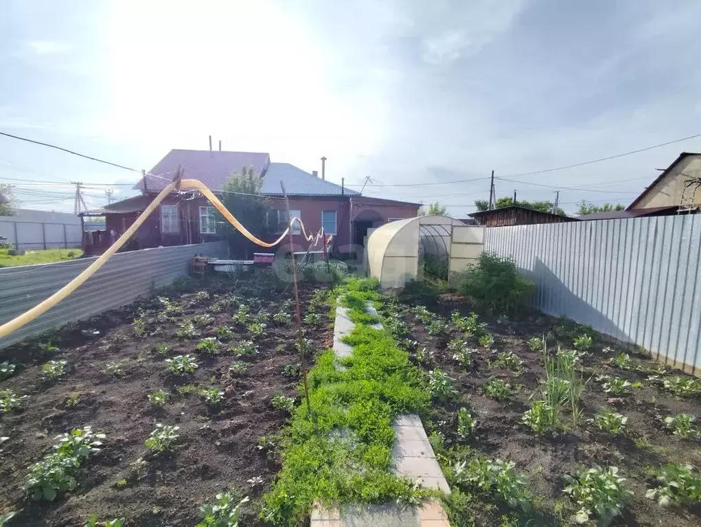 2-к кв. Курганская область, с. Кетово ул. Ленина, 98 (23.3 м) - Фото 1