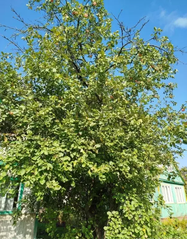 Дом в Ярославская область, Рыбинский муниципальный округ, Красная ... - Фото 2