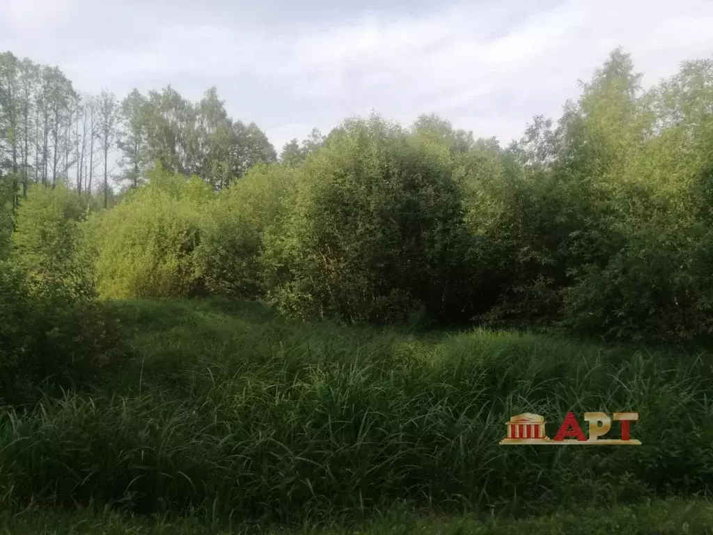 Продается участок в СНТ Космос - Фото 1