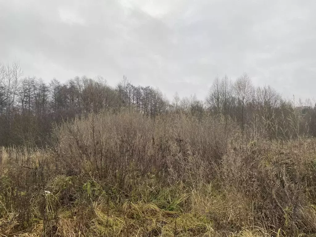 Участок в Московская область, Луховицы Молодежный мкр, ул. Малахитовая ... - Фото 2