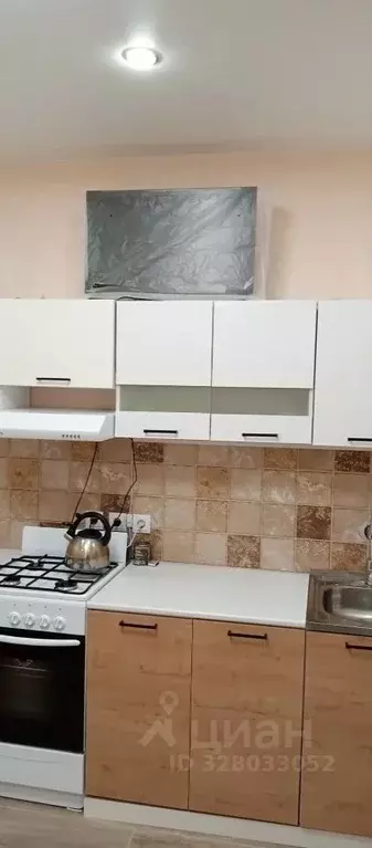 2-к кв. Псковская область, Псковский район, Писковичская волость, д. ... - Фото 1