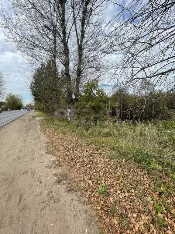 Участок в Тверская область, Тверь д. Большие Перемерки, 61А (19.0 ... - Фото 1