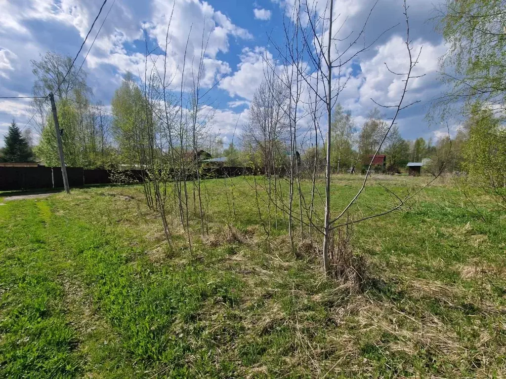 Участок в Владимирская область, Александровский район, Следневское ... - Фото 0