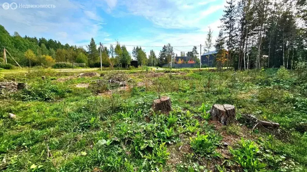 Участок в деревня Сюрье, 48Н (12.86 м) - Фото 1