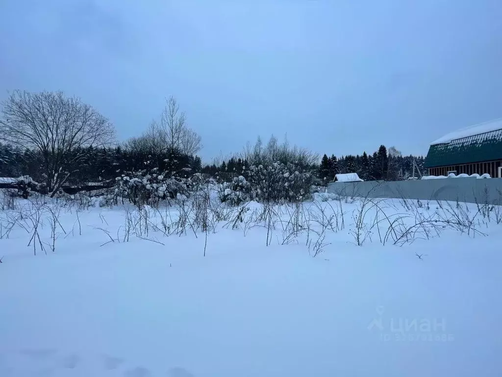 Участок в Московская область, Сергиево-Посадский городской округ, д. ... - Фото 1