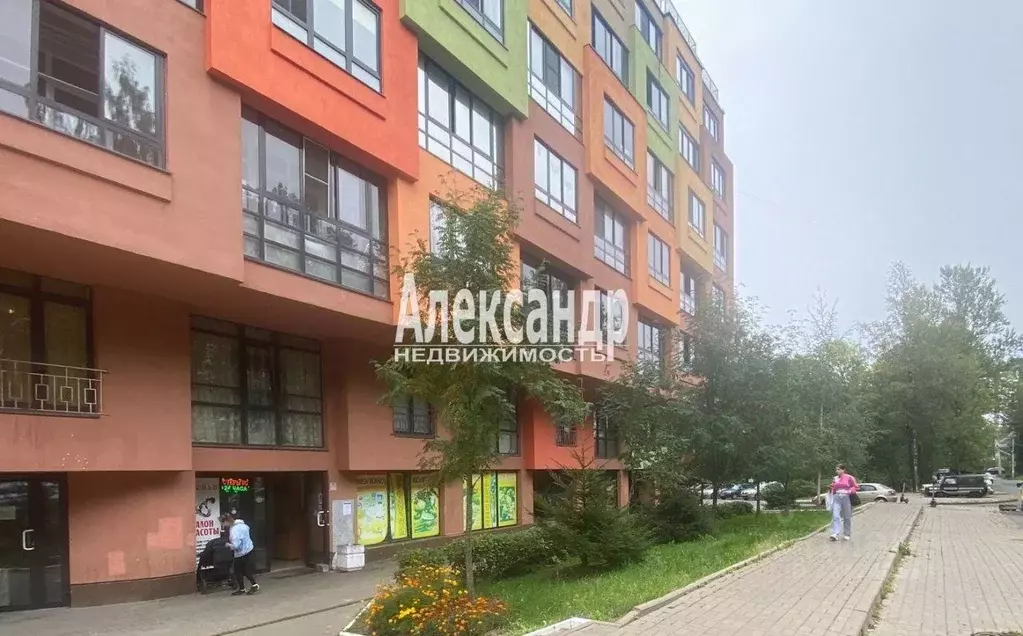 Торговая площадь в Ленинградская область, Всеволожск ул. Шишканя, 14 ... - Фото 2