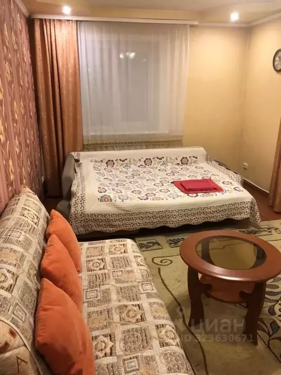 1-к кв. Сахалинская область, Южно-Сахалинск ул. Чехова, 29 (30.0 м) - Фото 2