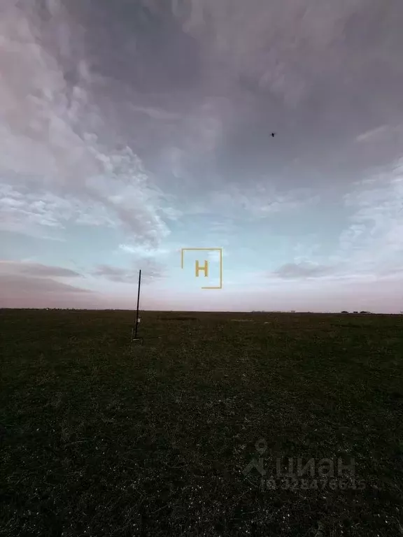 Участок в Крым, Сакский район, Молочненское с/пос, с. Витино  (100.0 ... - Фото 1