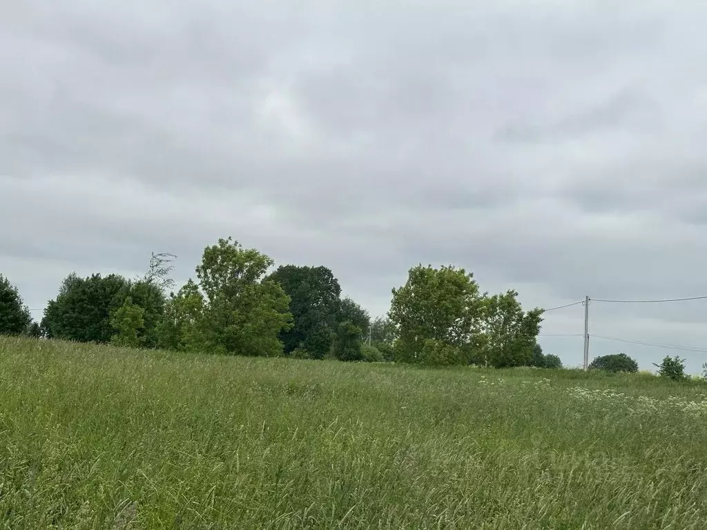 Участок в Московская область, Лотошино муниципальный округ, д. Добрино ... - Фото 1