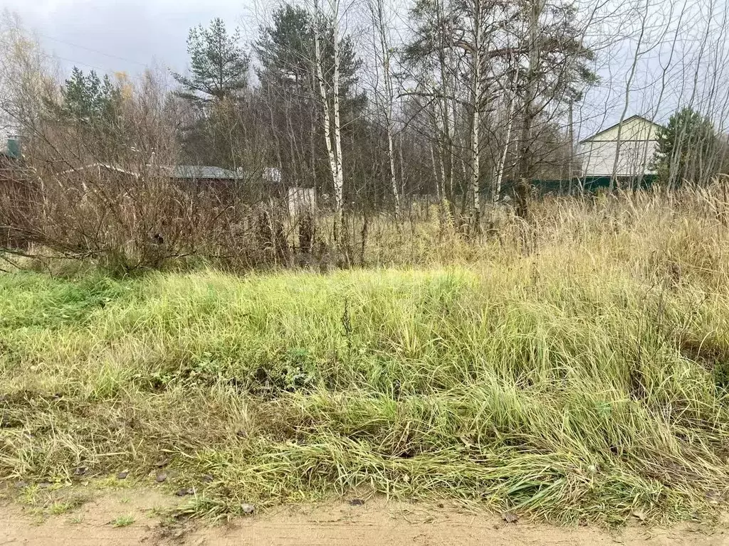 Участок в Костромская область, Нерехтский район, Воскресенское с/пос, ... - Фото 1
