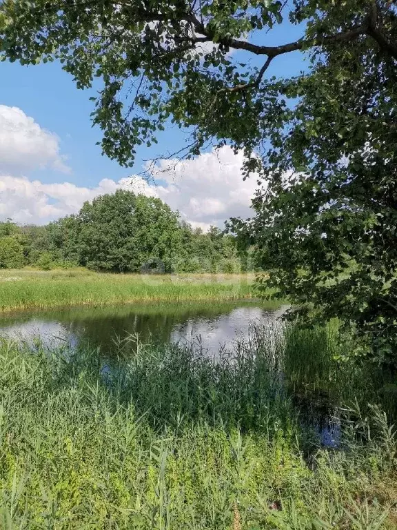 Дом в Воронежская область, Аннинское городское поселение, Анна пгт ул. ... - Фото 1