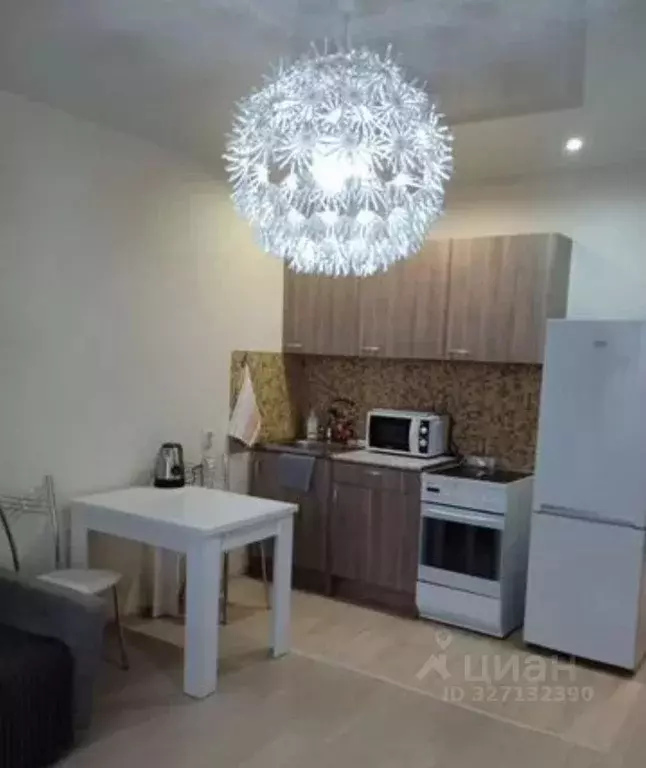 Студия Новосибирская область, Новосибирск ул. Виктора Уса, 2 (22.0 м) - Фото 2