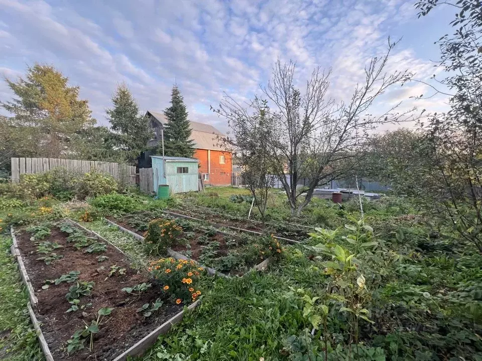Участок в Свердловская область, Сысертский муниципальный округ, с. ... - Фото 2