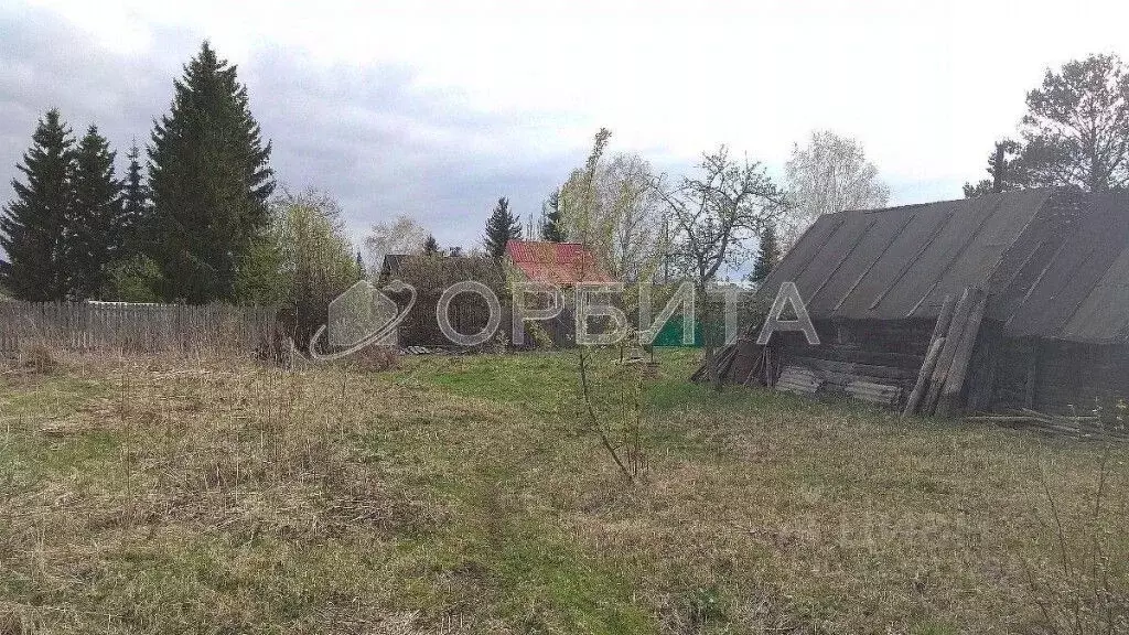 Участок в Тюменская область, Тюменский муниципальный округ, д. Речкина ... - Фото 2