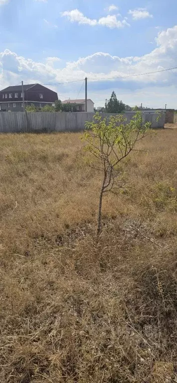 Участок в Крым, Сакский район, Фрунзенское с/пос, СТ СОТ 87 (8.0 сот.) - Фото 1