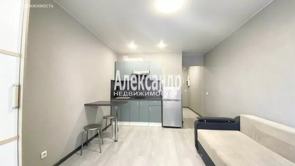 Квартира-студия: Мурино, Екатерининская улица, 14 (24.2 м) - Фото 1