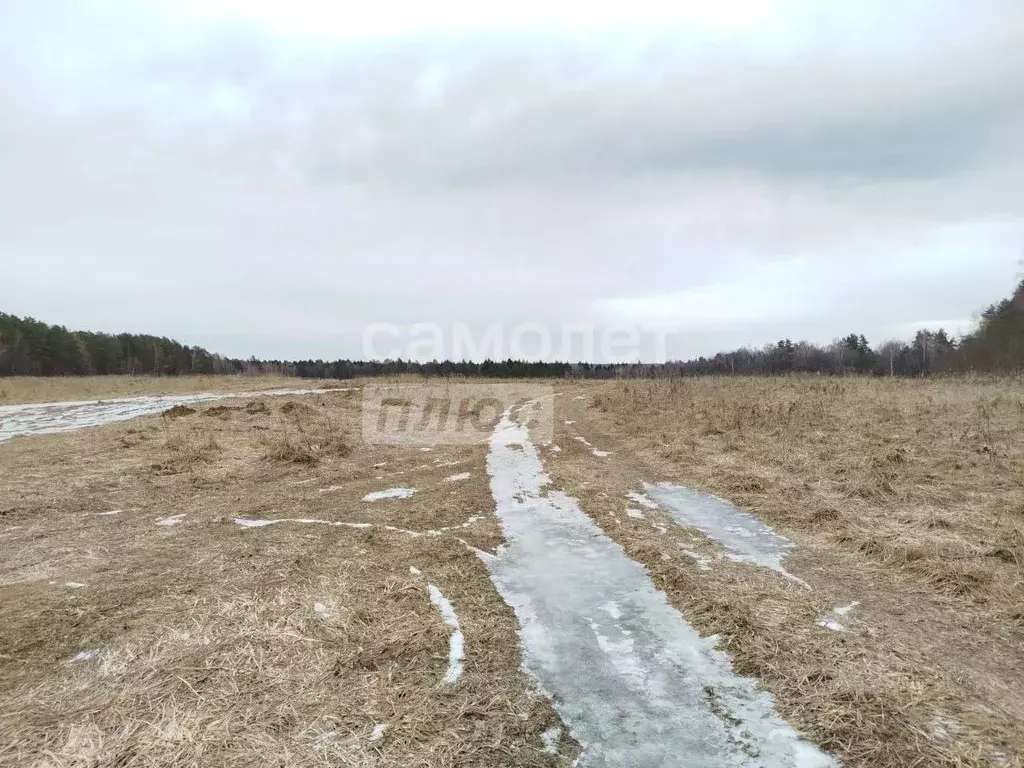 Участок в Московская область, Серпухов городской округ, д. ... - Фото 0