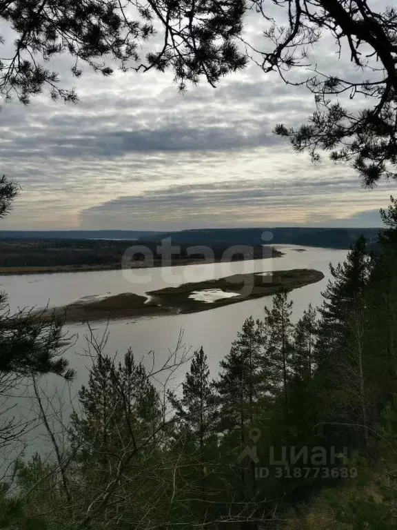 Участок в Пермский край, Чусовской муниципальный округ, д. Успенка  ... - Фото 0