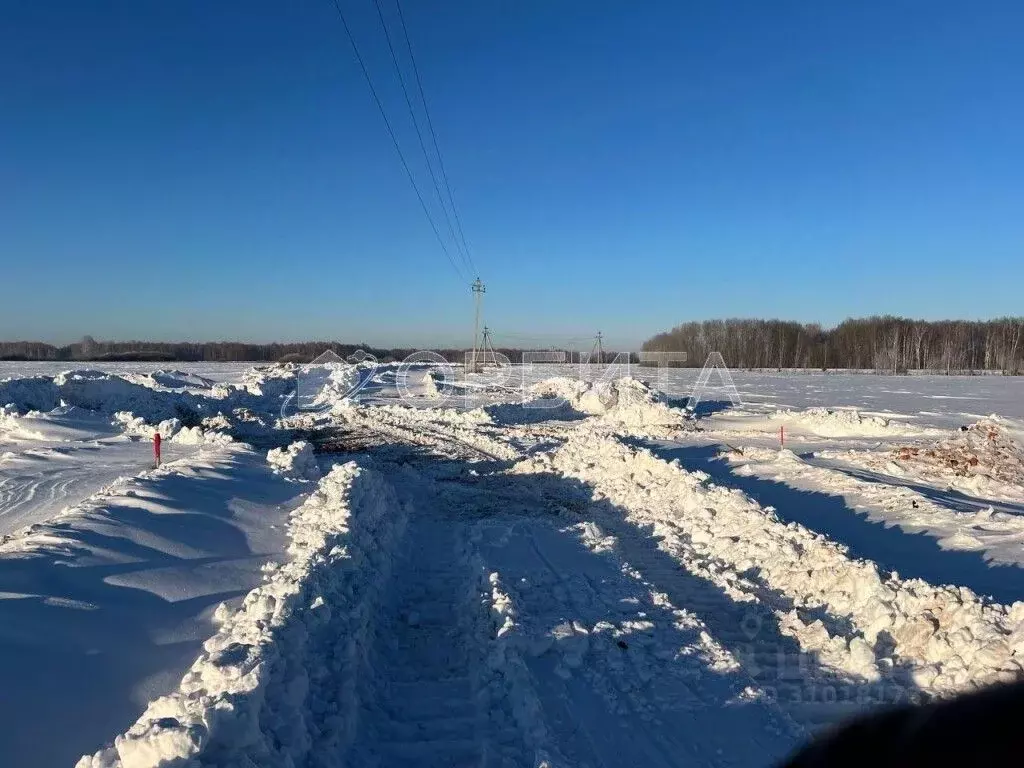 Участок в Тюменская область, Тюменский район, с. Горьковка Сибирская ... - Фото 1