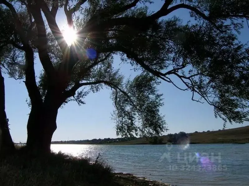 Участок в Крым, Симферопольский район, с. Кольчугино ул. Новосадовая, ... - Фото 1