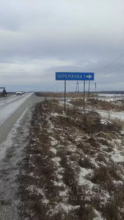 Участок в Свердловская область, Белоярский муниципальный округ, д. ... - Фото 1