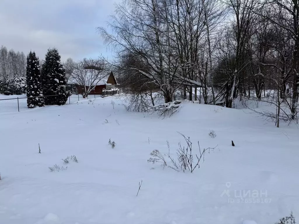 Участок в Тверская область, Конаковский муниципальный округ, д. Пенье  ... - Фото 2