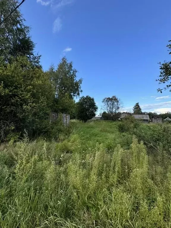 Участок в Ленинградская область, Выборгский район, Советское городское ... - Фото 1