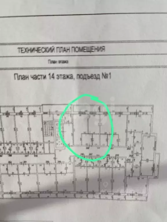 1-к кв. Ленинградская область, Мурино Всеволожский район, аллея ... - Фото 0
