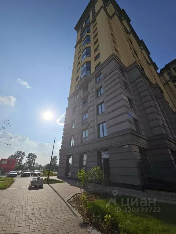 Помещение свободного назначения в Санкт-Петербург ул. Дыбенко, 3 (47 ... - Фото 0