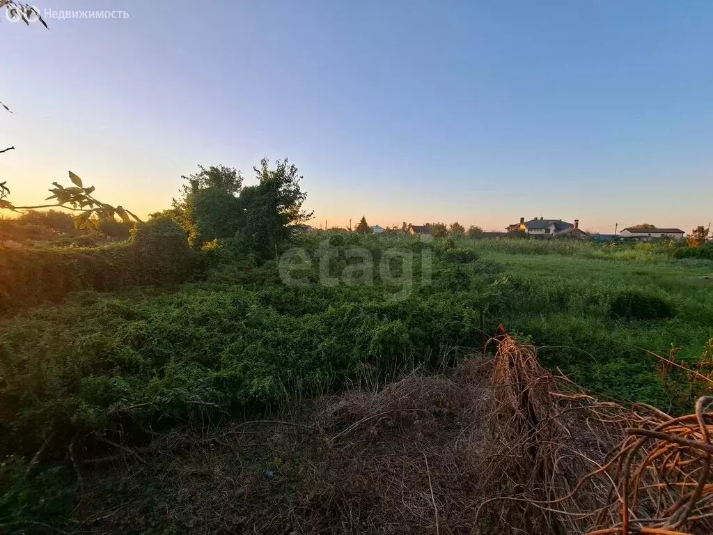 Участок в Темрюк, улица Калинина (5.87 м) - Фото 2