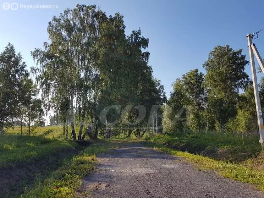 Участок в Тюменский район, село Кулига, коттеджный посёлок Альпийская ... - Фото 1