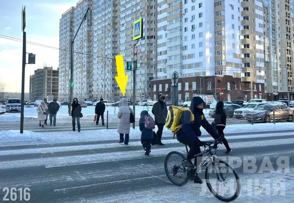 Сдам помещение свободного назначения, 36 м - Фото 1