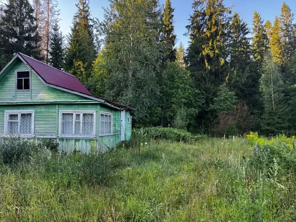 Участок в Новгородская область, Валдайский район, Костковское с/пос, ... - Фото 1