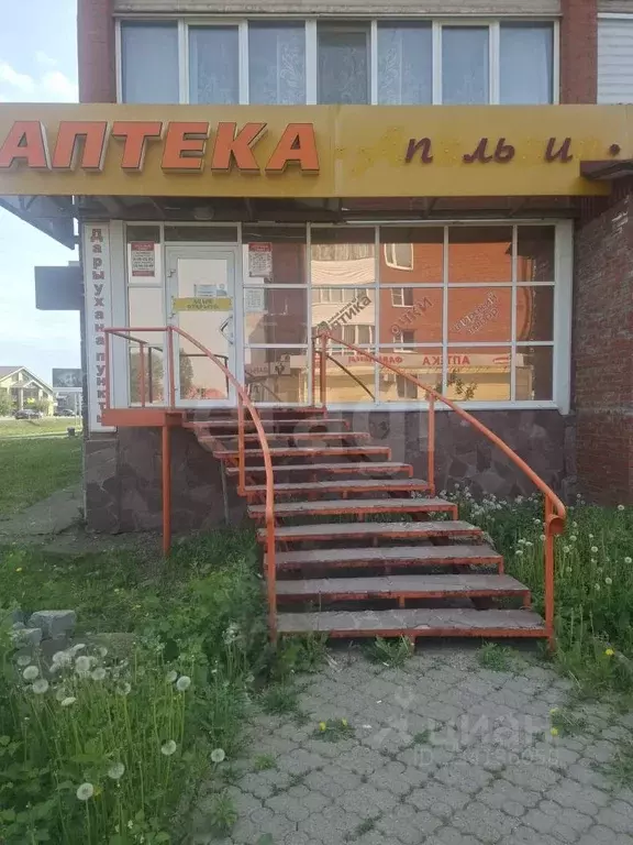 Офис в Башкортостан, Бирск ул. Мира, 148 (57 м) - Фото 1