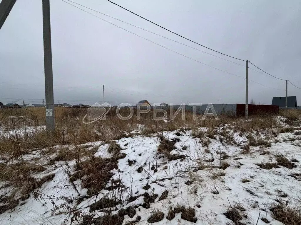 Участок в Тюменская область, Тюменский муниципальный округ, д. Якуши ... - Фото 2