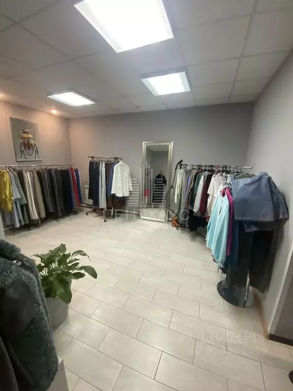 Помещение свободного назначения в Владимирская область, Судогда ул. ... - Фото 2