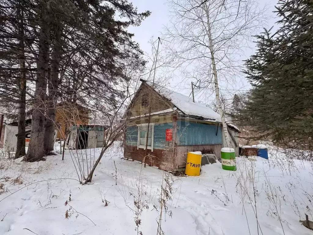 Участок в Хабаровский край, Хабаровский район, Бархатное СНТ  (14.0 ... - Фото 2