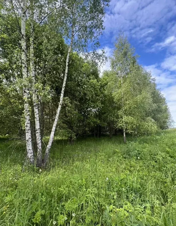 Участок в Московская область, Пущино Серпухов городской округ, ... - Фото 2