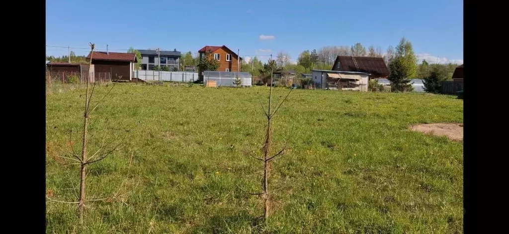 Участок в Ленинградская область, Лужский район, Толмачевское городское ... - Фото 0